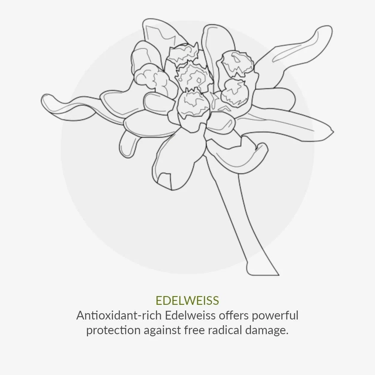 Солнцезащитный лосьон для детей SPF30 Green People без отдушки 150мл Greenpeople — фото 2