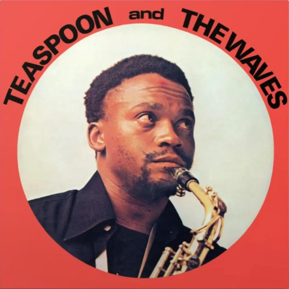 

Виниловая пластинка LP Teaspoon & The Waves - Teaspoon & the Waves