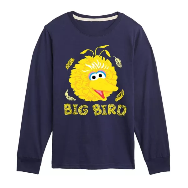 

Мальчики 8-20 футболка с длинным рукавом и принтом Big Bird из «Улицы Сезам» Licensed Character, синий