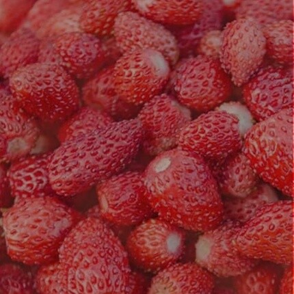 Aquolina Fragrant Body Water Wild Strawberry 150ml — фото 3