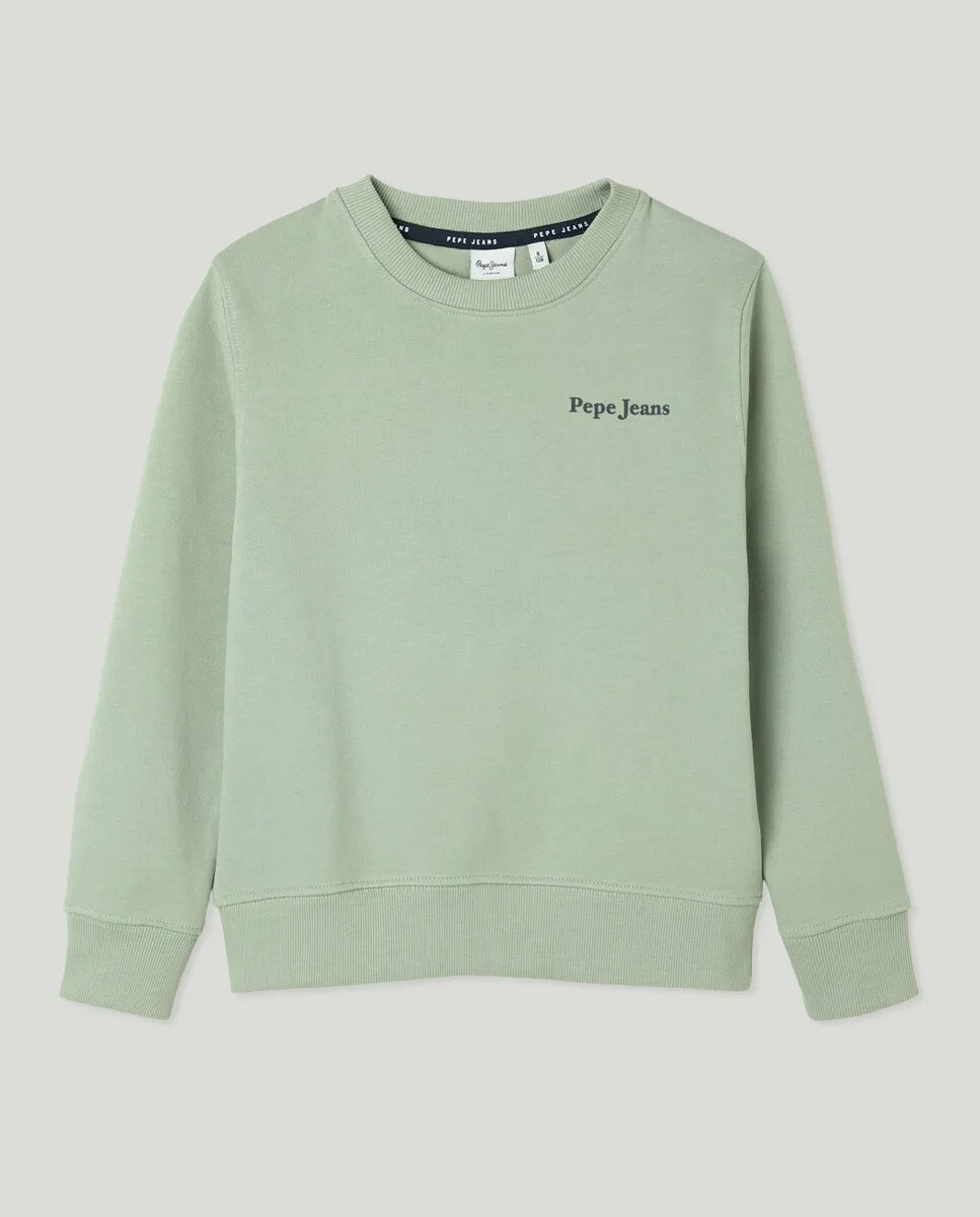 

Толстовка для мальчика с принтом «бульдог» Pepe Jeans, светло-зеленый