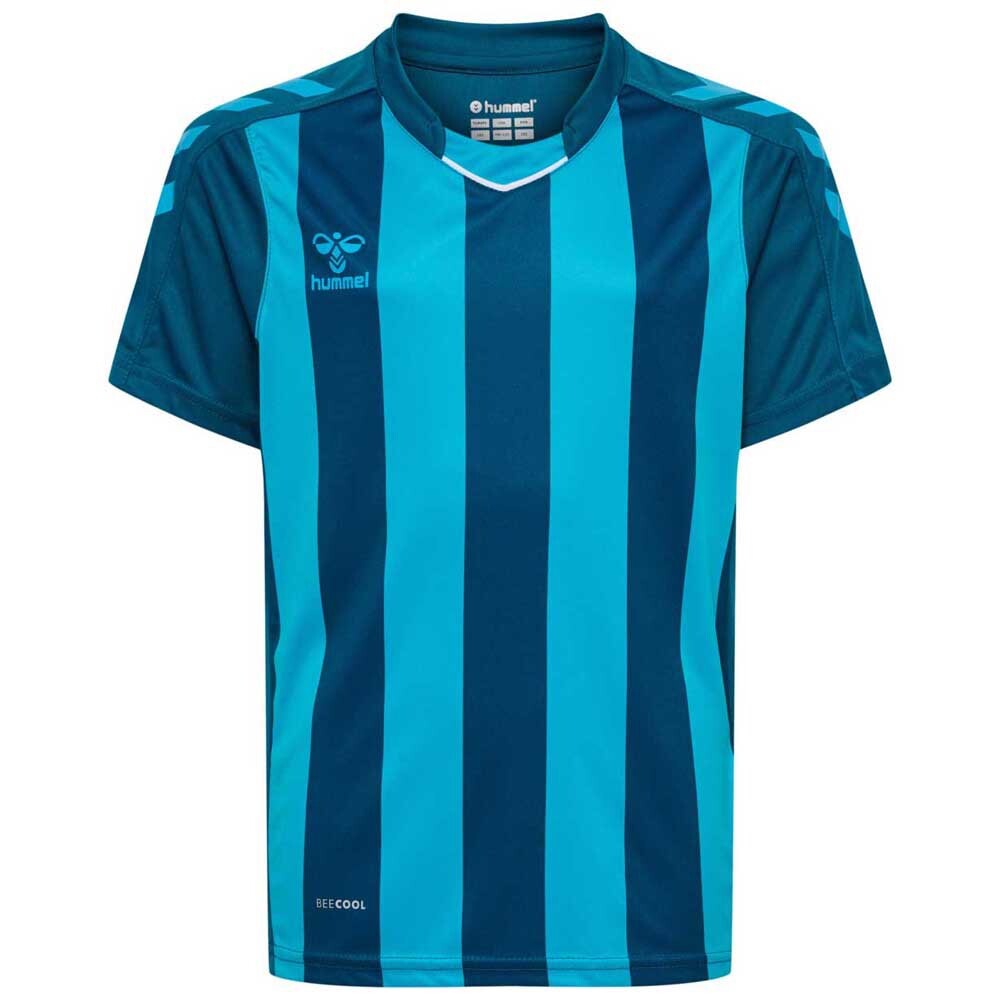 

Футболка Hummel Core XK Striped, синий