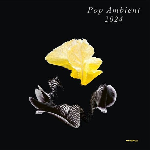 

CD диск Pop Ambient 2024 / Various: Pop Ambient 2024