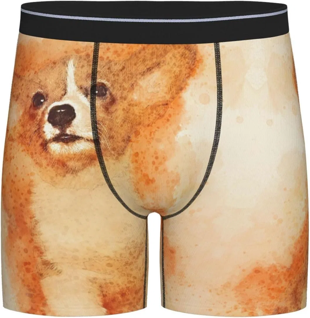 Боксеры, Dog, Black