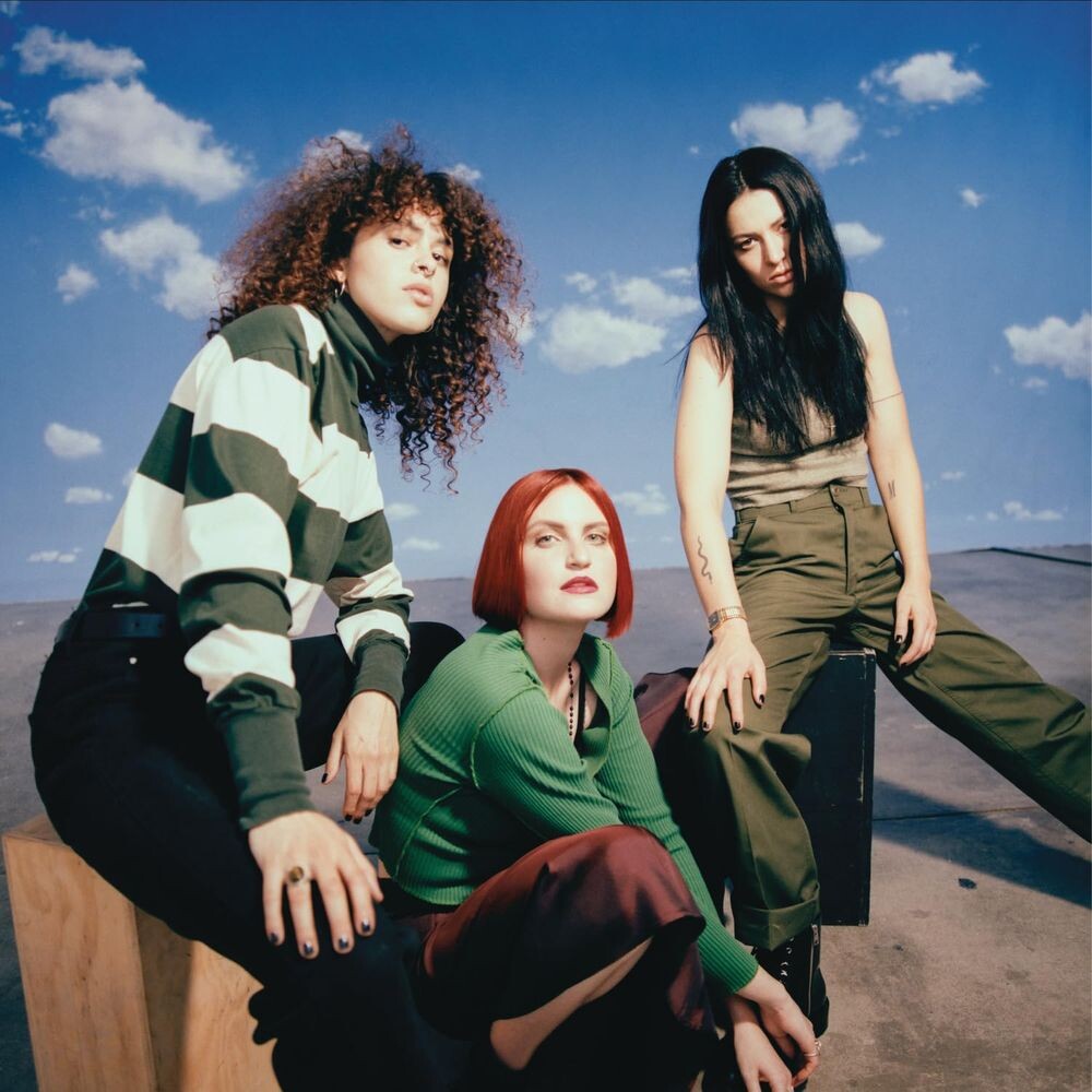 

Виниловая пластинка LP Saves The World - MUNA