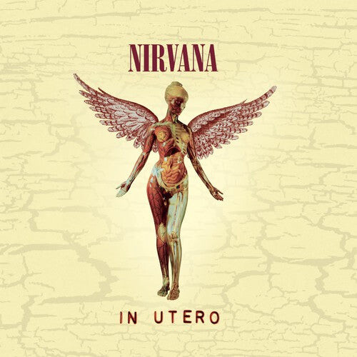 

CD диск Nirvana: In Utero (20th Anniversary Edition)