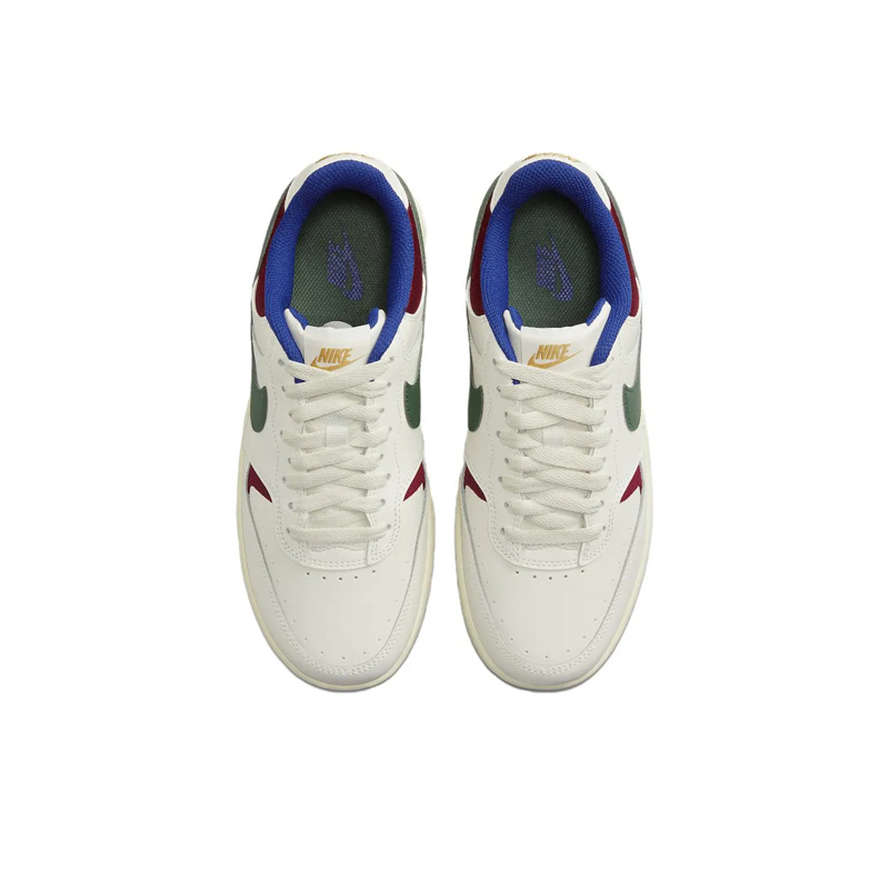 Детские кроссовки для скейтбординга Gamma Force Low Top Nike, белый/синий/зеленый — фото 4