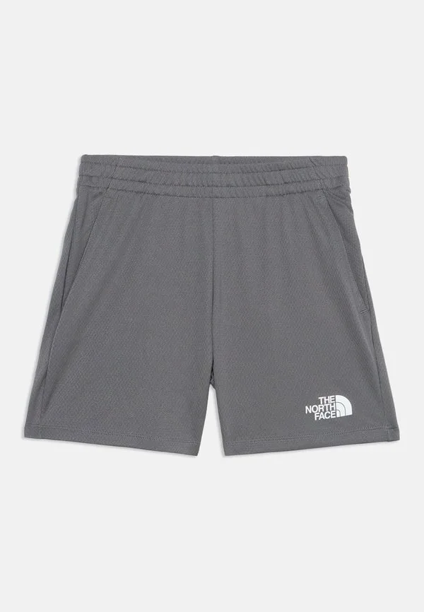 Подростковые спортивные шорты унисекс из полиэстера The North Face, Smoked Pearl