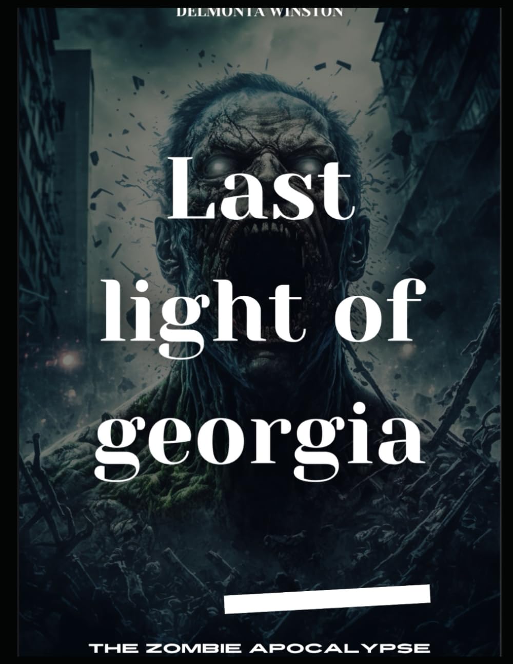 

Last Light Of Georgia (Independently published)