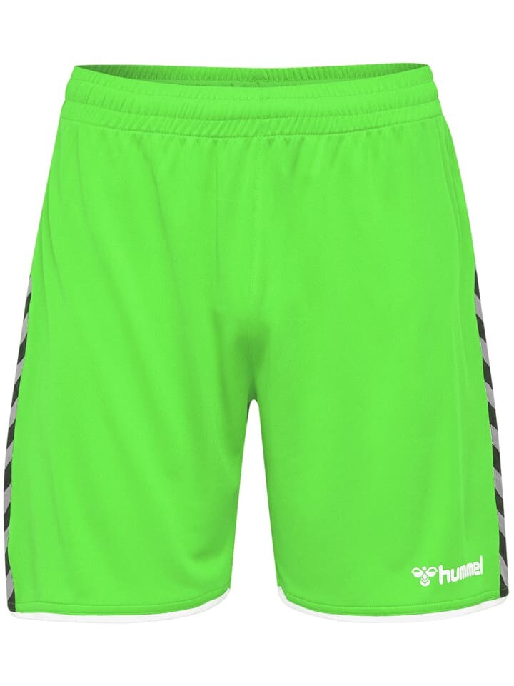 

Шорты Hummel Hmlauthentic Multisport Herren, цвет green gecko