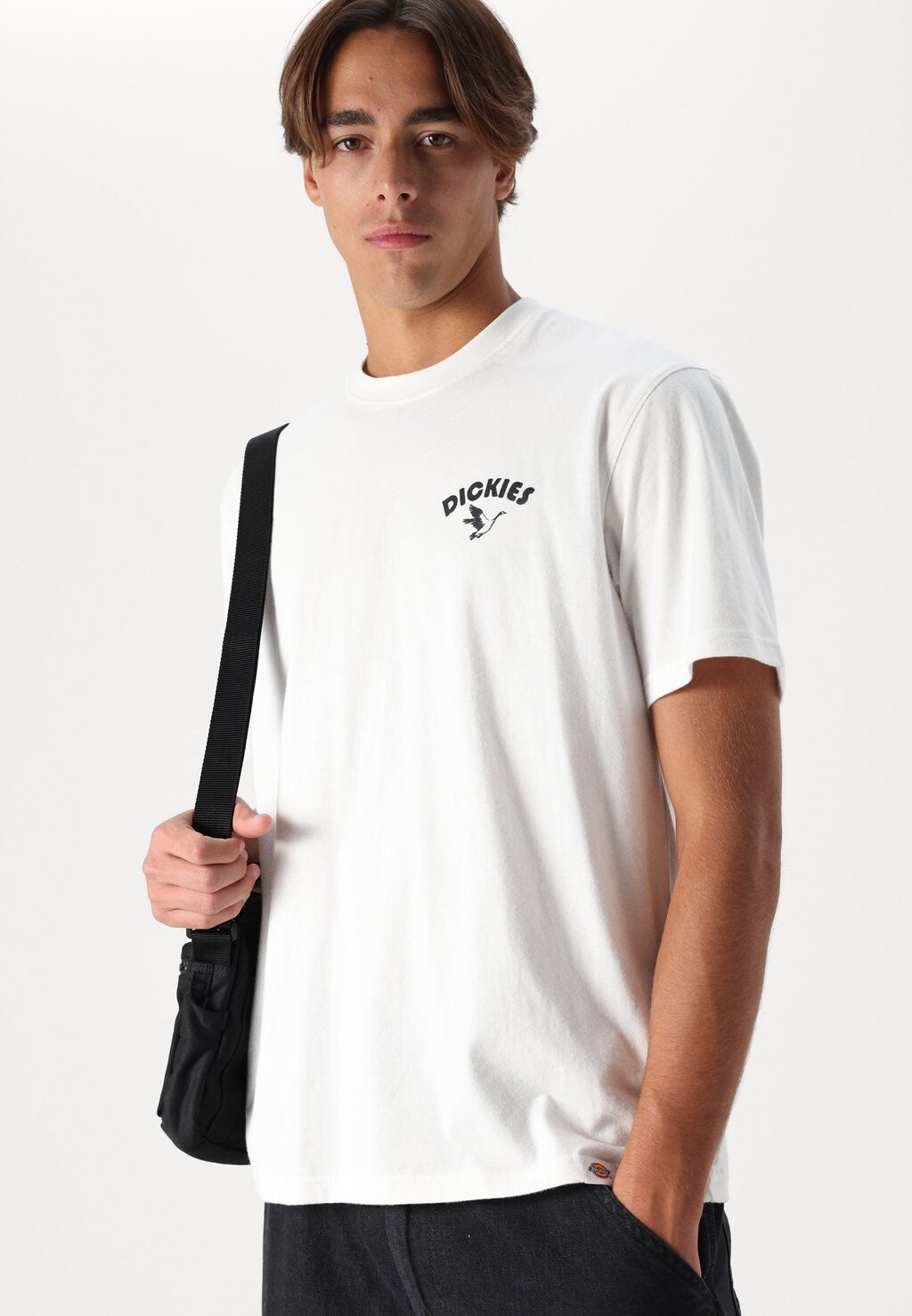 

Футболка с принтом GRAPHIC TEE Dickies, белый