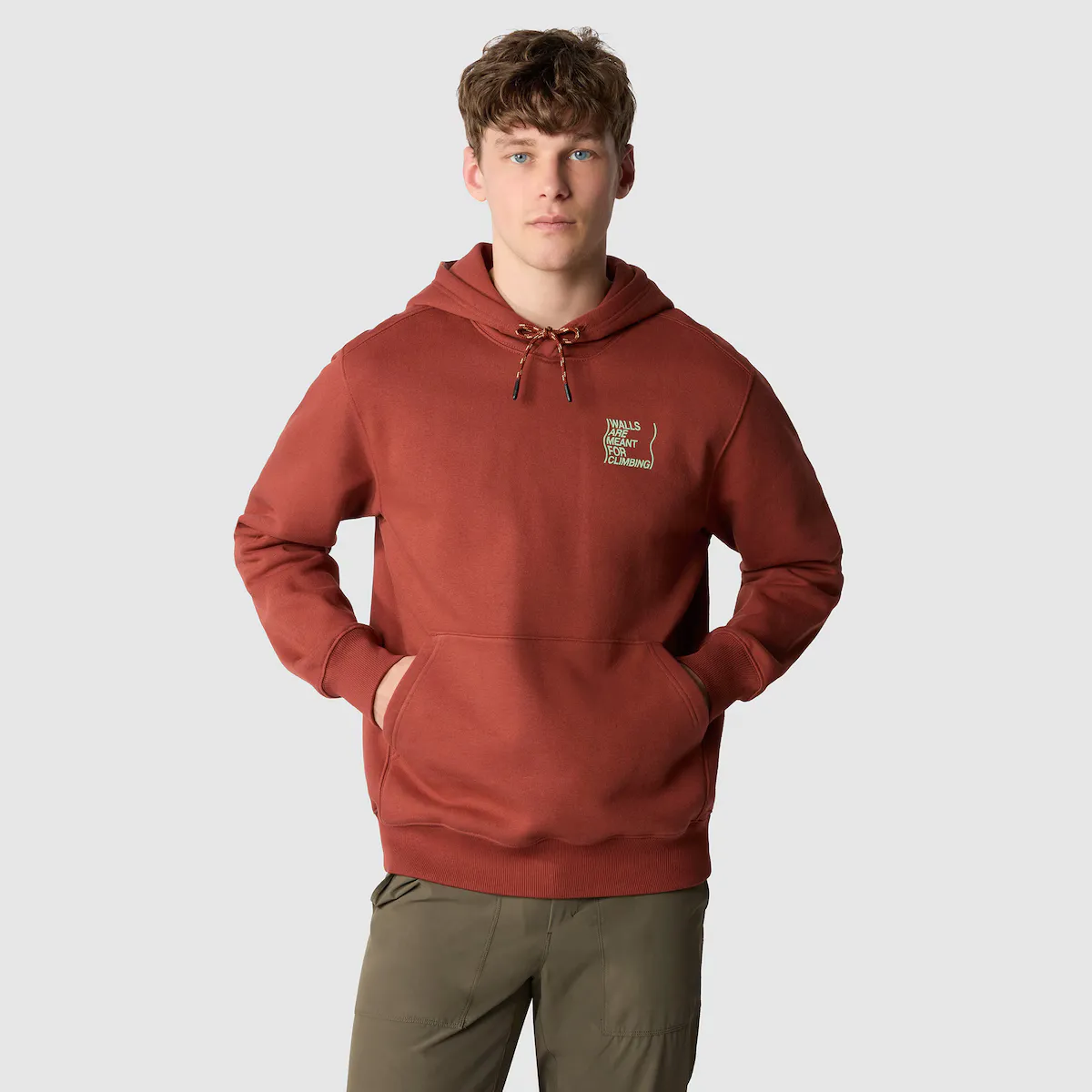 

Мужская толстовка с графическим принтом The North Face, коричневый