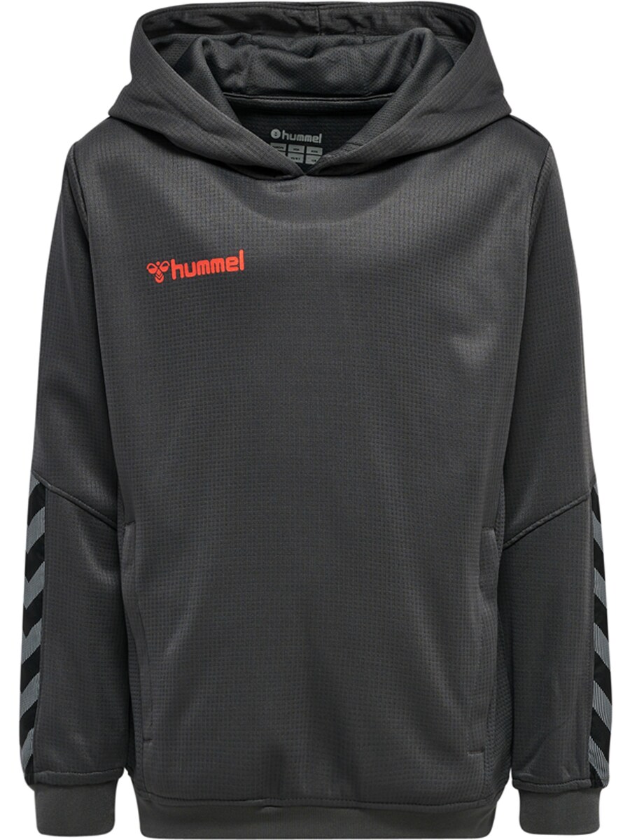 

Спортивная толстовка Hummel Authentic, цвет Anthracite/Dark grey