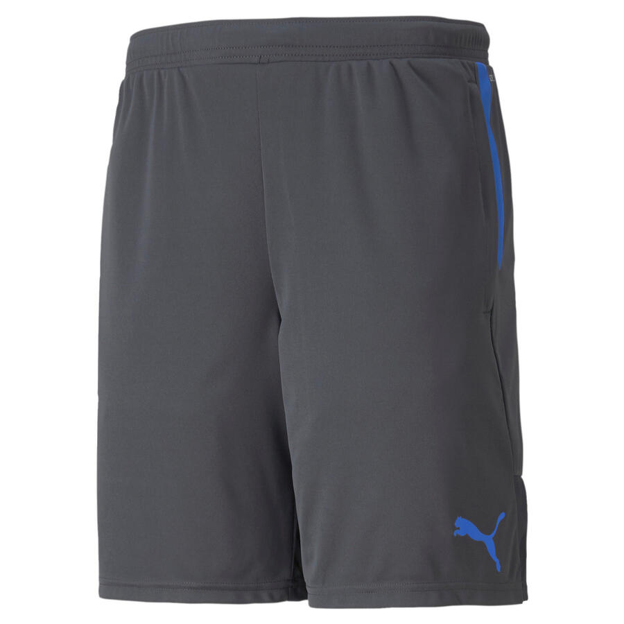 

Мужские шорты Puma individualCUP shorts 657546