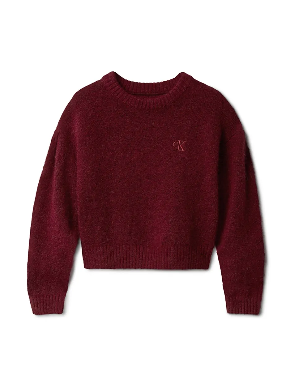 

Детский джемпер прямого кроя Calvin Klein, красный