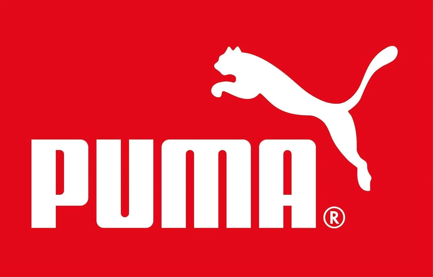 Puma, серый — фото 3