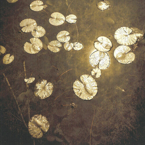 

CD диск Northwoods Improvisers: Fanfares