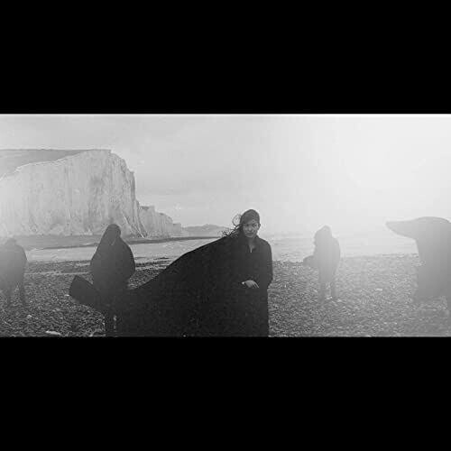 

Виниловая пластинка Dog In The Snow - Vanishing Lands