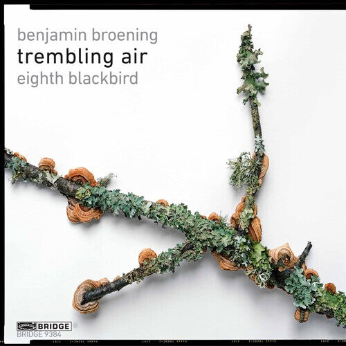 

CD диск Broening / Eighth Blackbird: Trembling Air