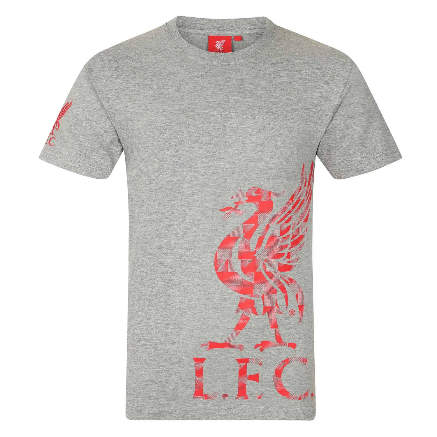 Детская футболка с принтом Liverpool FC, серый