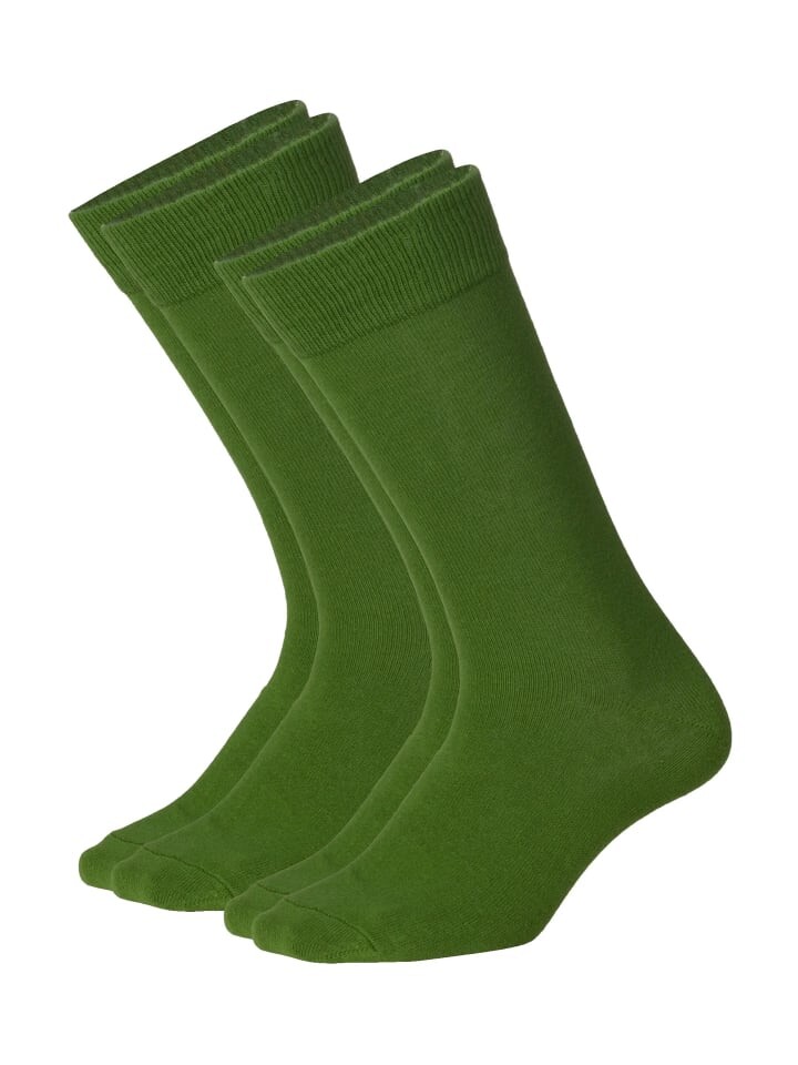 

Носки DillySocks Socken D-Compose 2er Set, зеленый