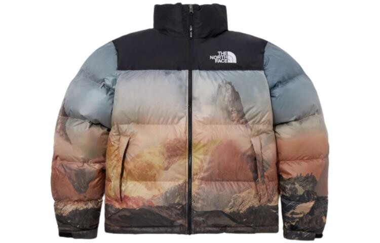 

Куртка унисекс THE NORTH FACE, цвет Allover Print