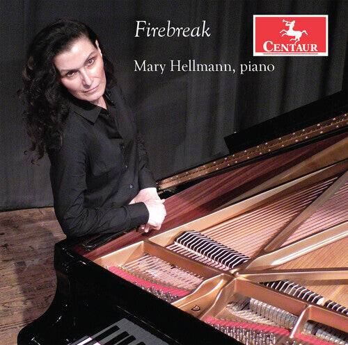 

CD диск Beethoven / Hellmann: Firebreak