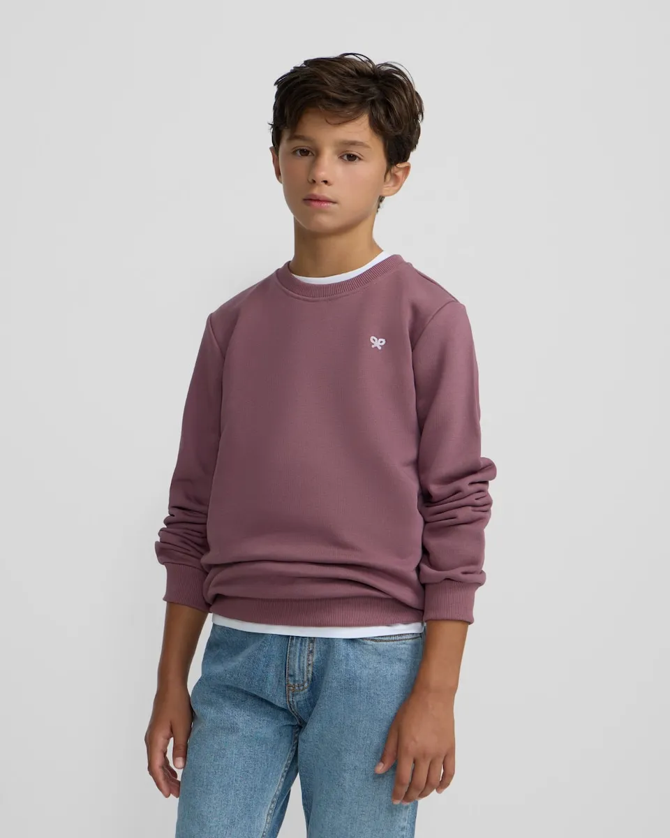 

Детский свитшот Petits Silbon, бордовый