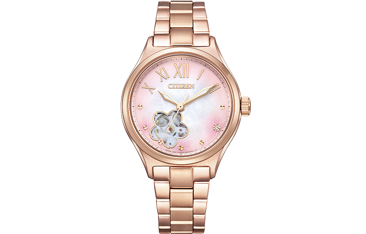 

CITIZEN Часы Women's Watch, PC1017-70Y