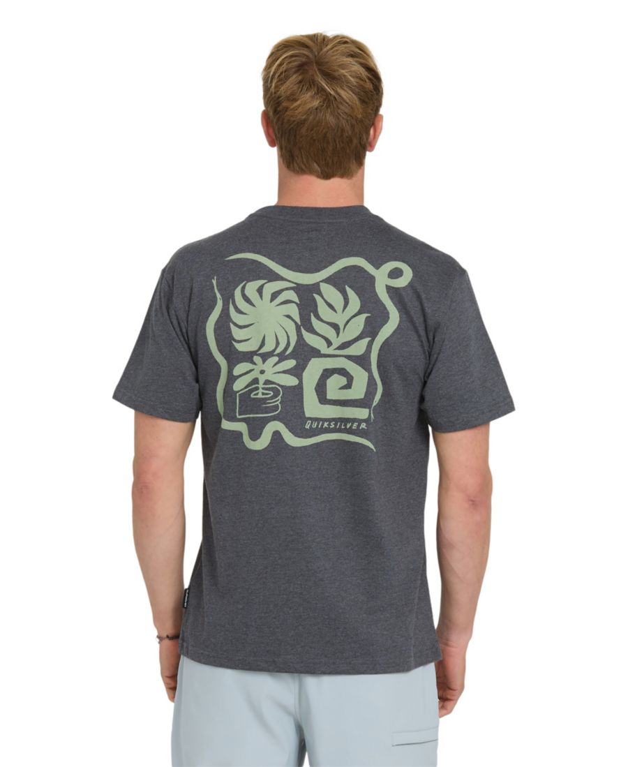 

Мужская футболка Peaceful Liven Quiksilver, Charcoal heather, Черный, Мужская футболка Peaceful Liven Quiksilver, Charcoal heather