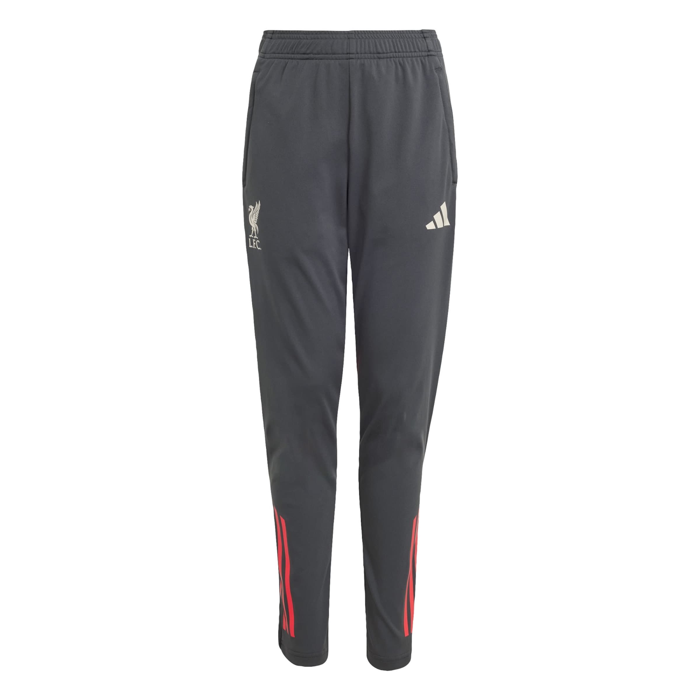 

Adidas Performance Узкие спортивные штаны 'FC Liverpool Tiro 25 Competition' в цвете Anthracite