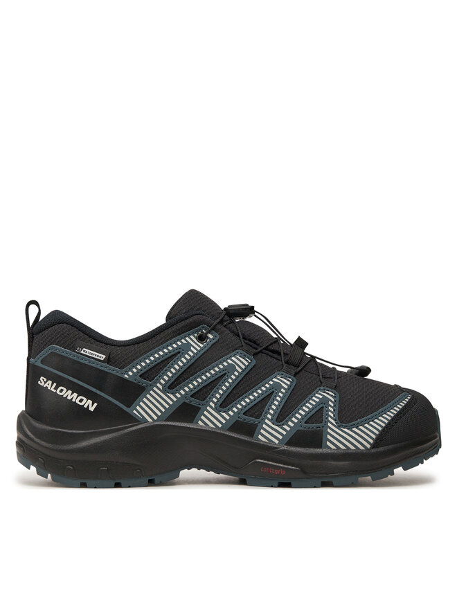 

Треккинговые кроссовки Xa Pro V8 Waterproof L47568000 Salomon, черный