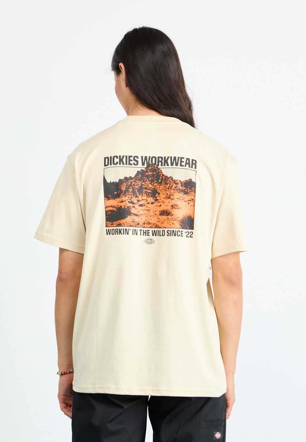 

Футболка с принтом MIDDLE POINT TEE Dickies, бежевый