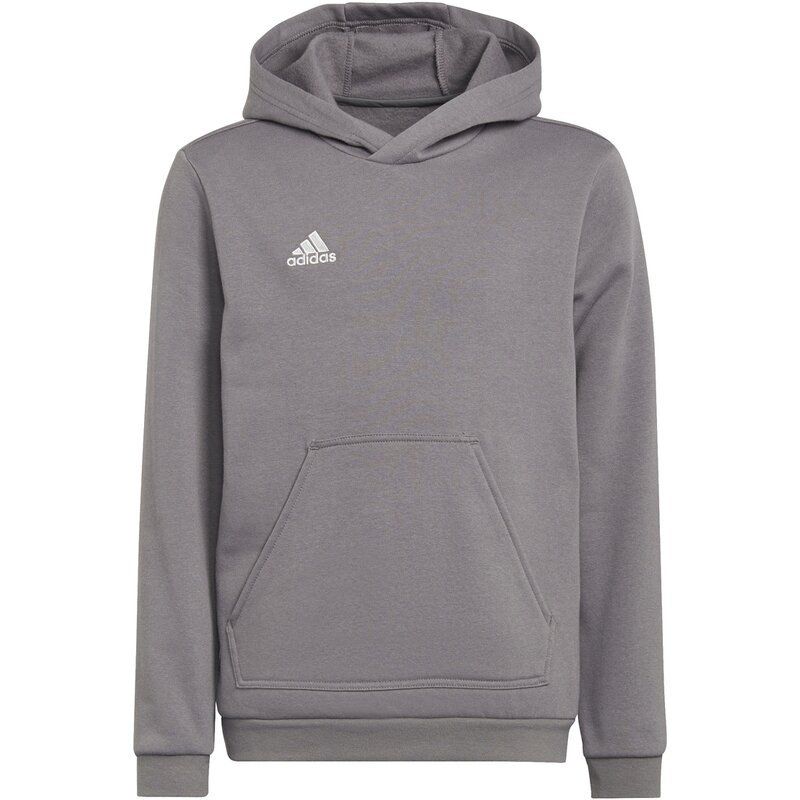 

Толстовка с капюшоном Entrada 22 Sweat Adidas, цвет tegrfo