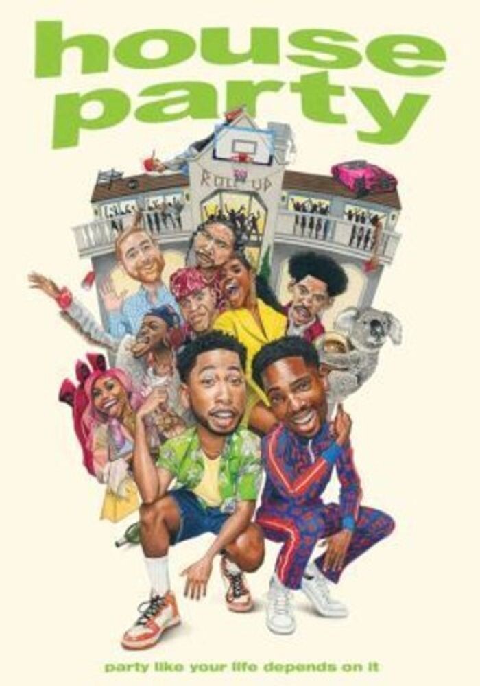 

Диск DVD House Party [2023]