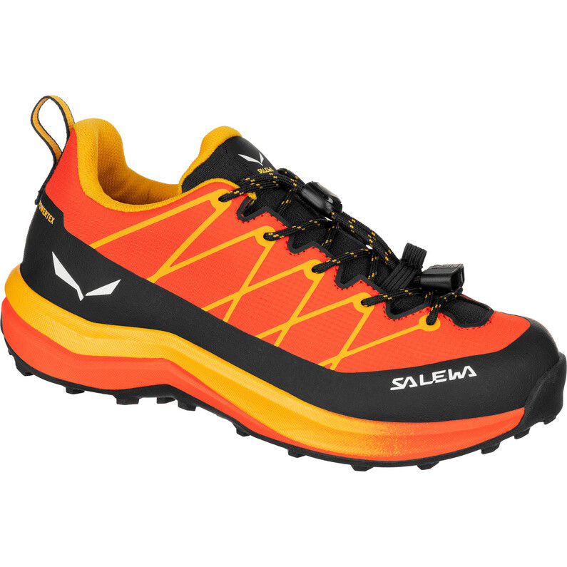 

Детская обувь Wildfire 2 PTX Salewa, красно-оранжево-золотой