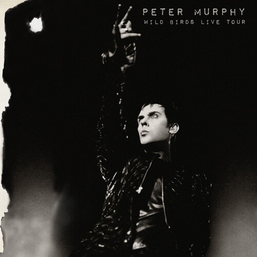 

Диск CD Wild Birds Live Tour - Peter Murphy