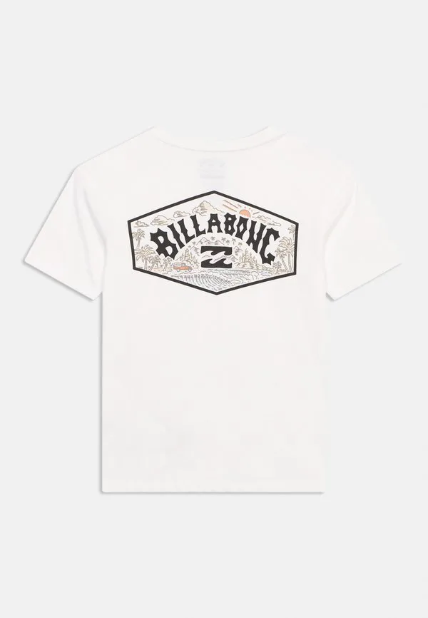 Футболка унисекс с принтом «живописная арка» Billabong, White — фото 2