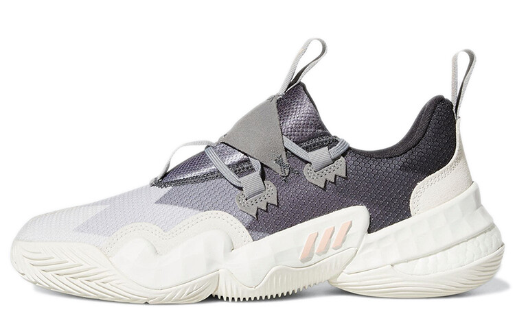 

Кроссовки Adidas Trae Young 1, белый/серый/фиолетовый
