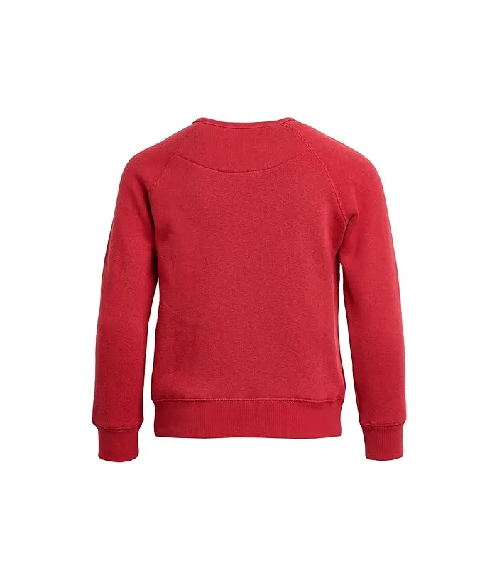 Толстовка с флисом San Francisco 49ers Hot Route Raglan Junk Food Clothing Kids, Licorice — фото 2