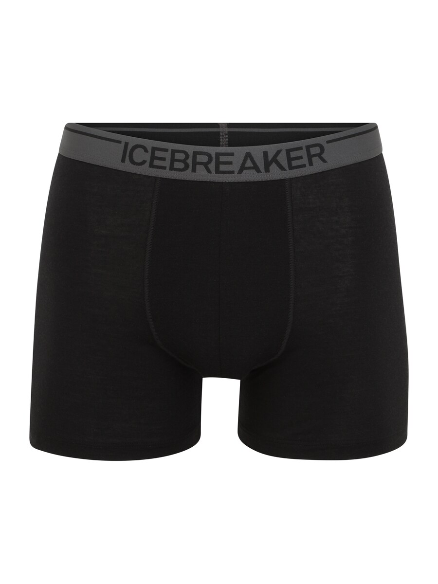 

Трусы ICEBREAKER Boxer shorts Anatomica, черный