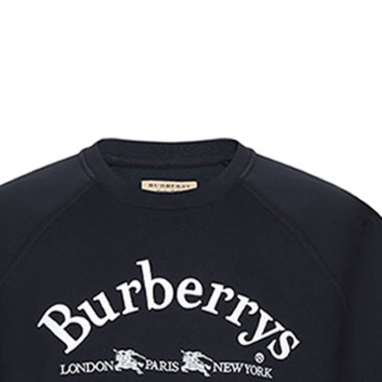 Толстовка мужская Burberry, темно-синий, синий — фото 4