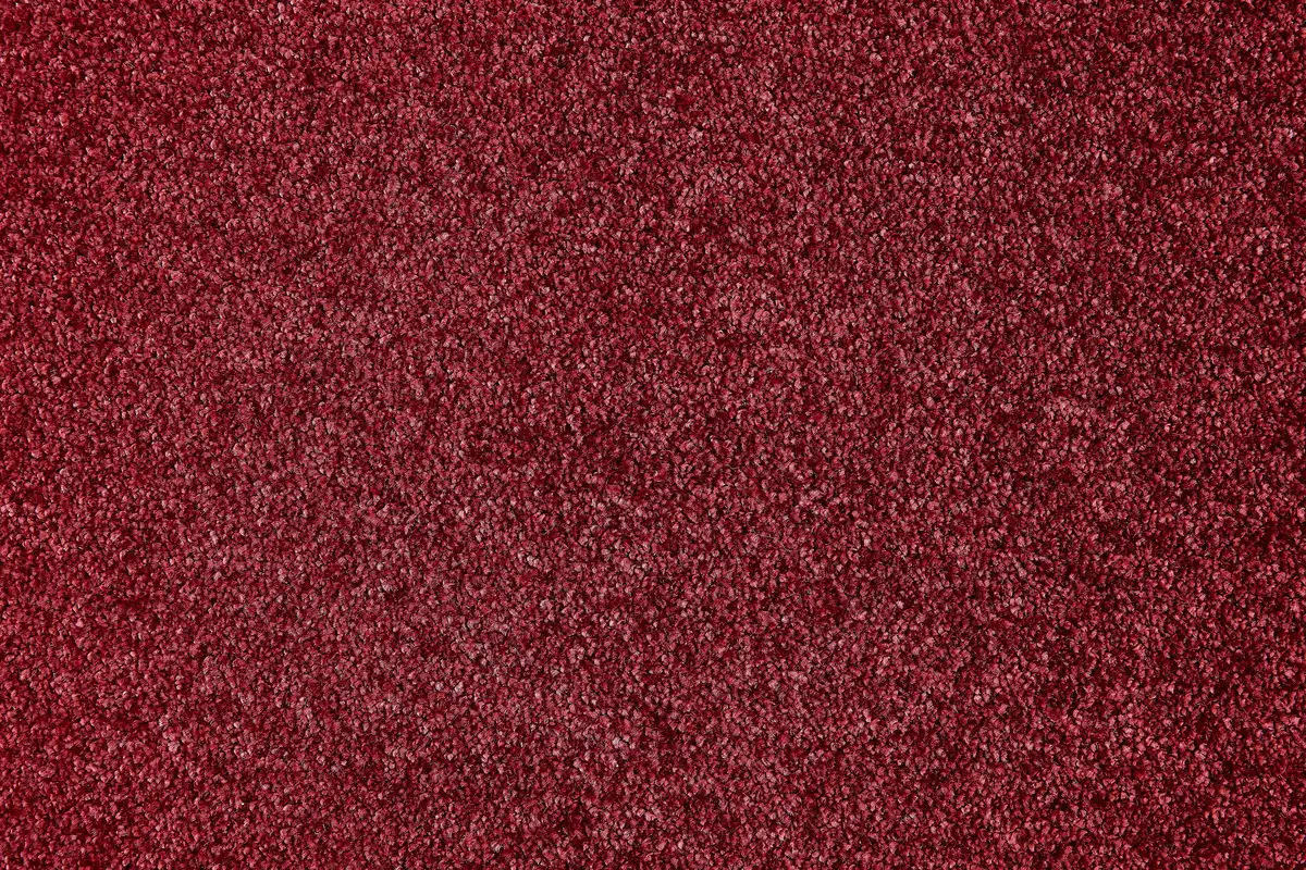 

Ковер Andiamo "Велюр Пиза", прямоугольный, однотонный, ширина 400 см, износостойкий, легко чистится 400х200 см, красный