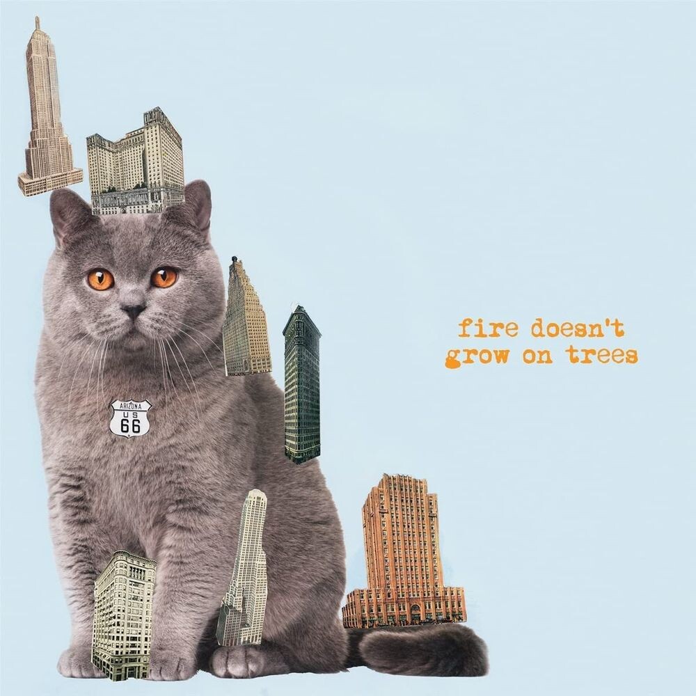 

Диск CD Fire Doesn't Grow On Trees - The Brian Jonestown Massacre