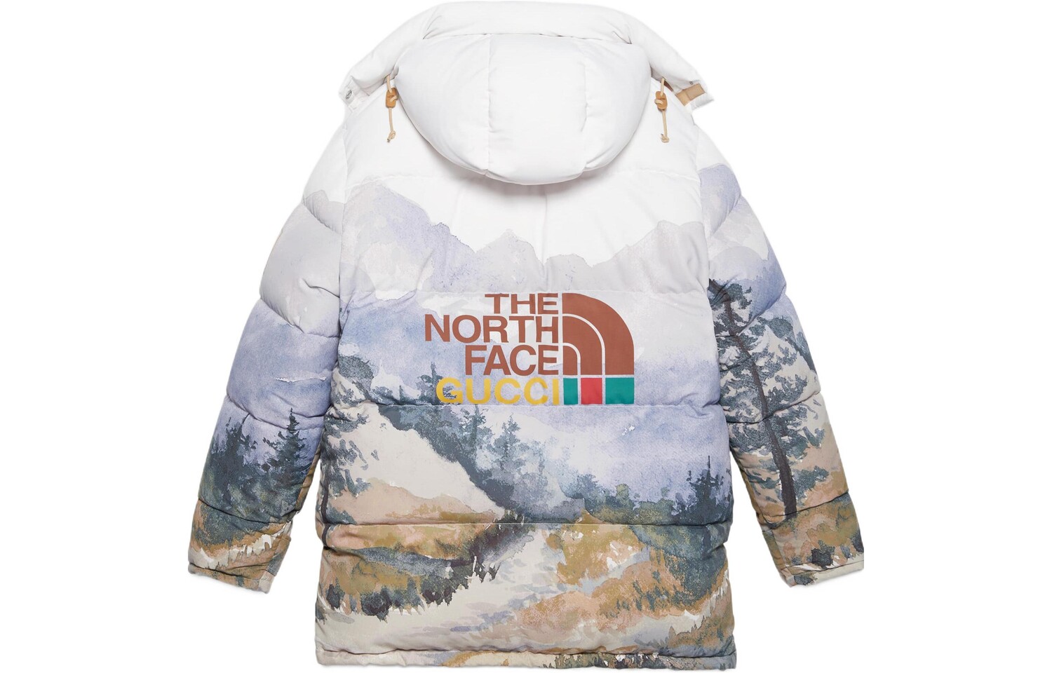 Пуховик The North Face x Gucci мужской, multicolor — фото 3