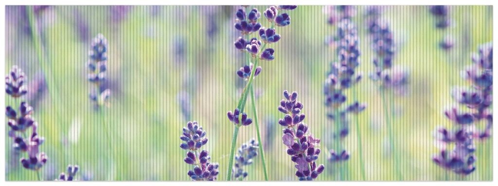 

Коврик для душа Wallario, нескользящий коврик, коврик для ванной, коврик для двери, радость фиолетовых цветов - фиолетовые растения на лугу, размер ок. 180 х 65 см, зеленый