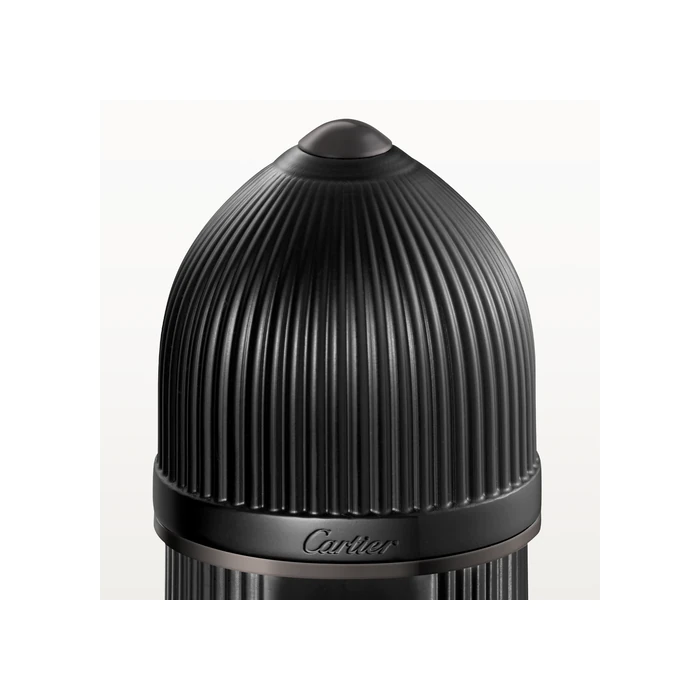 Мужская туалетная вода Pasha de Cartier Noir Absolu Parfum Cartier, 100 — фото 3