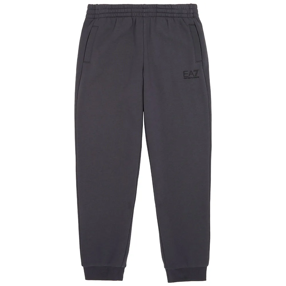 

Брюки EA7 EMPORIO ARMANI Train Core ID Ch Br CC sweat, серый
