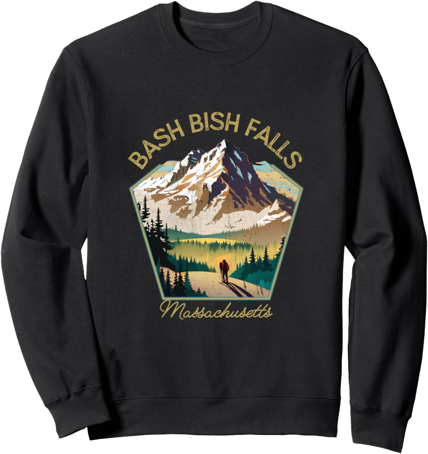 

Bash Bish Falls Retrowear - Сувенирная толстовка Bash Bish Falls Bash Bish Falls Massachusetts Hiking Clothes Co., черный