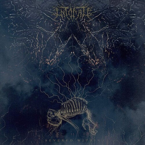 

Виниловая пластинка Intonate: Severed WIthin